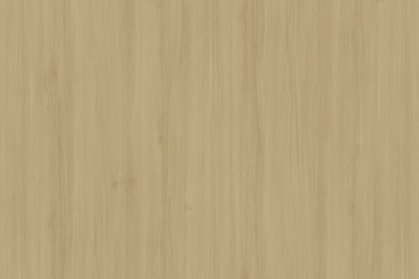 AIGUILLE OAK UG-UF 6509